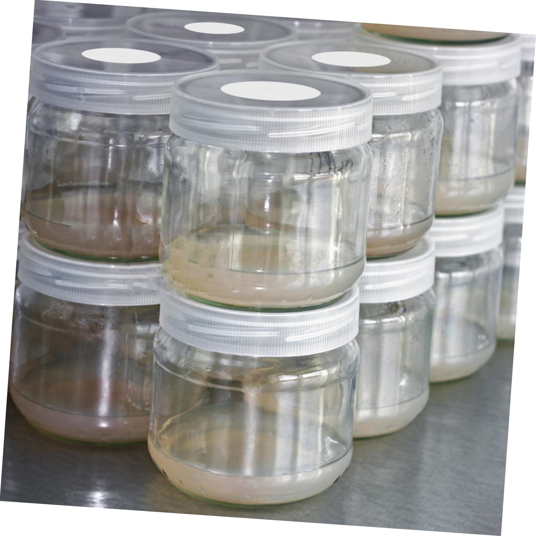 2blätter Mushroom Bottle Isolation Pad Atmungsaktive Membran Für Pilzkulturen Eptfe Material Dual-Design Für Und Schutz