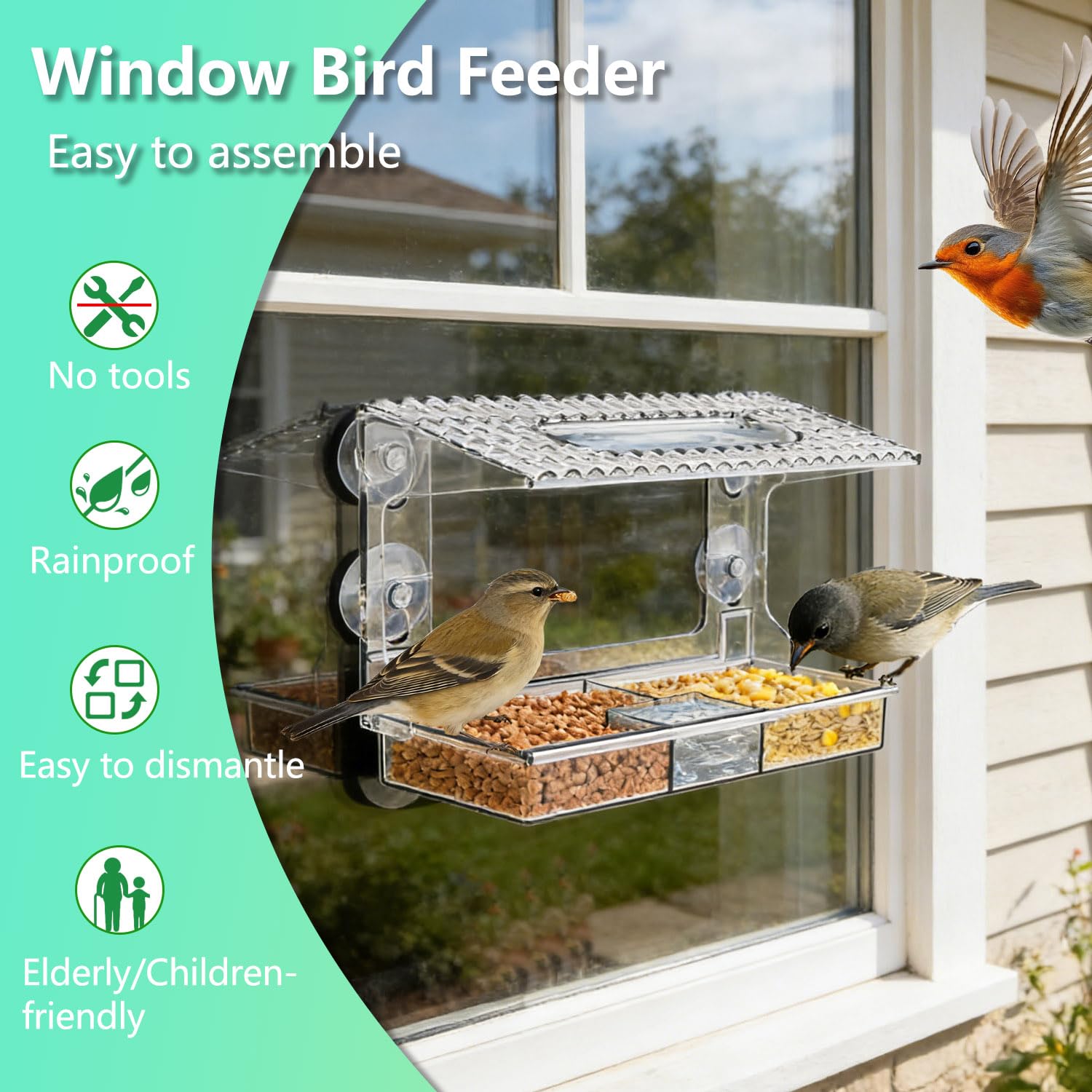 Mangeoire fenêtre Transparente Vue Claire pour Petits Oiseaux Sauvages, Ventouses puissantes