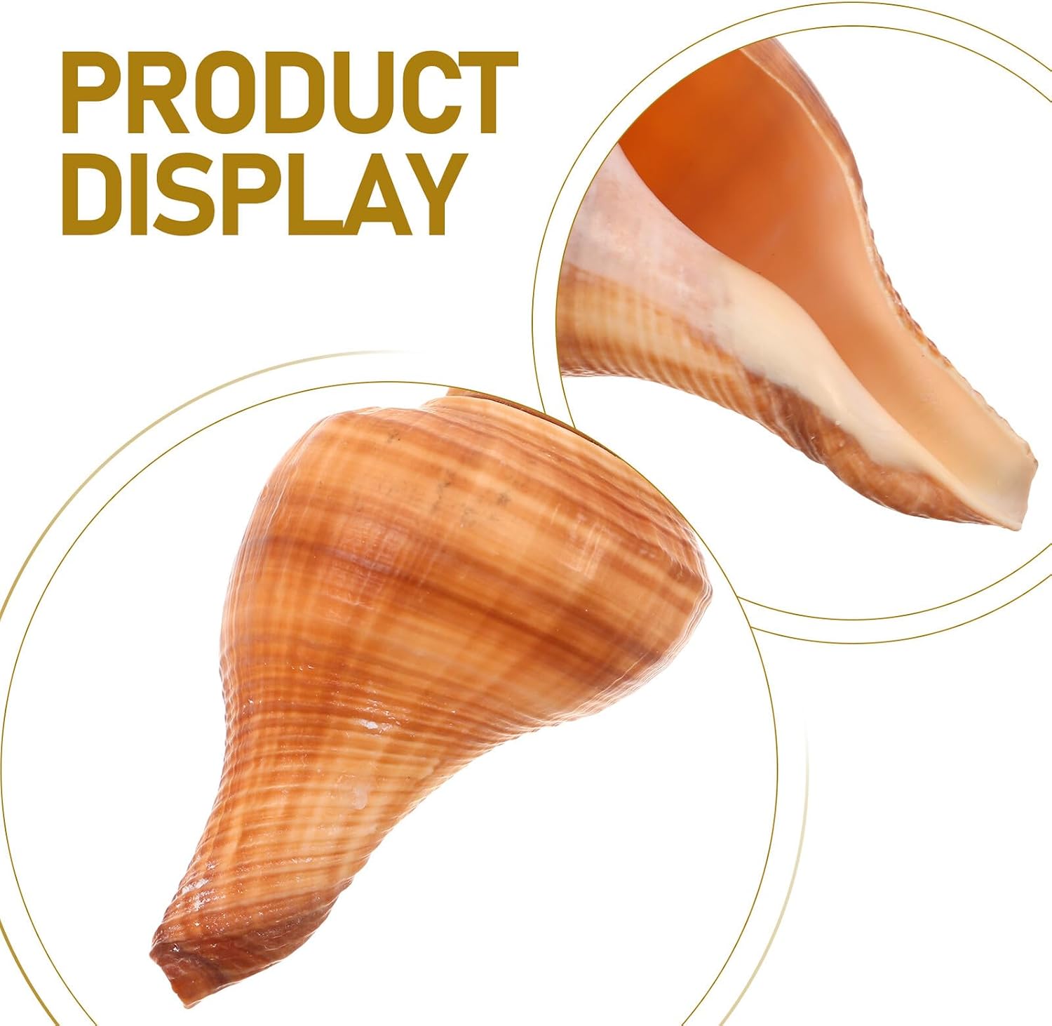 GLEAVI 5pcs Natural Conch Shell Whistle Set, Portable Decorative Whistle with Loud Signal for Camping, Hiking, Outdoor Survival and Party Favor
