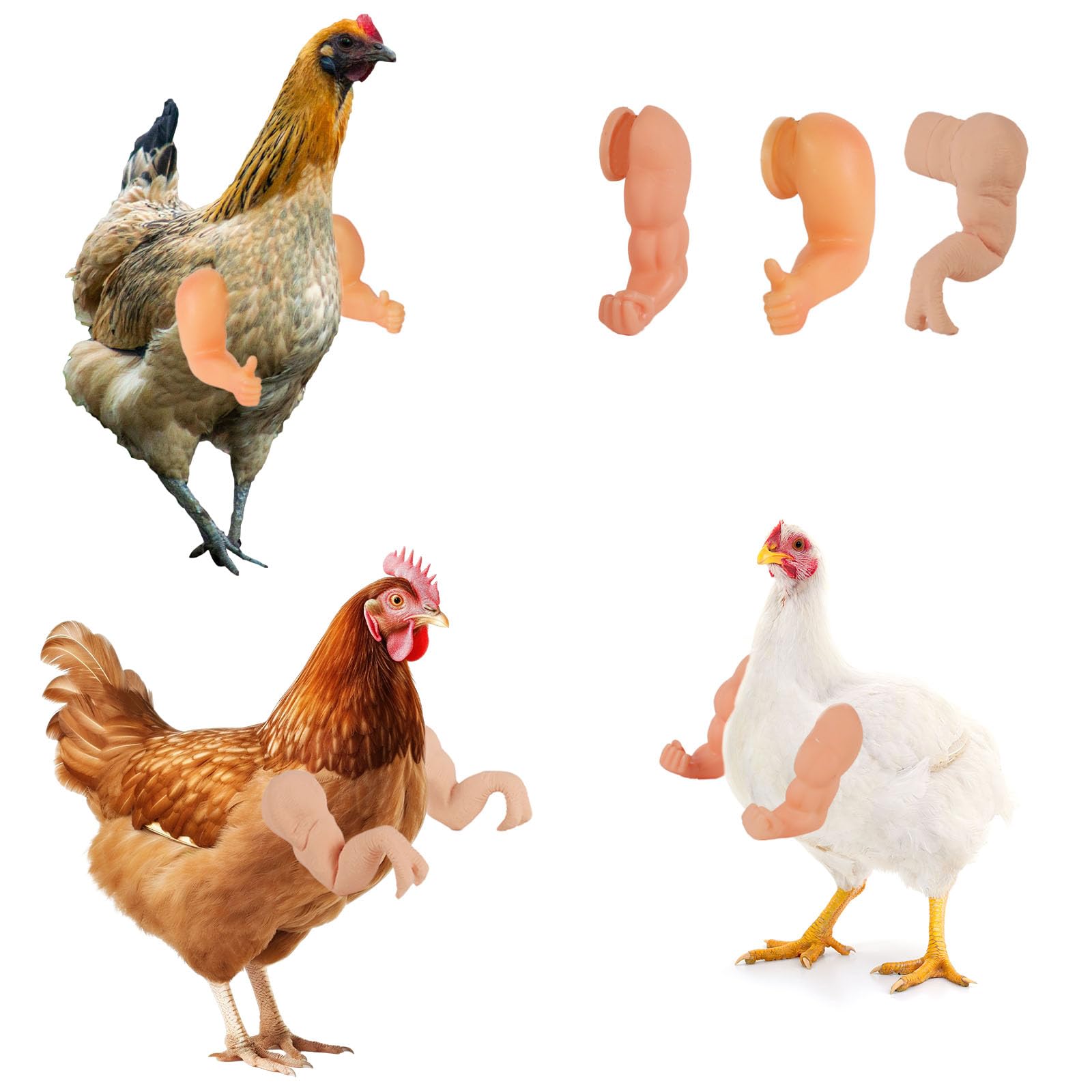 Fukaisu 3pcs Chicken Arms, Strong Muscle & Thumbs & T-Rex Dinosaur Hands Arms Toys to Put on Real Chickens Funny Pet Costume Outfits Clothes Accessories for Halloween Parties Photoshoots Pranks