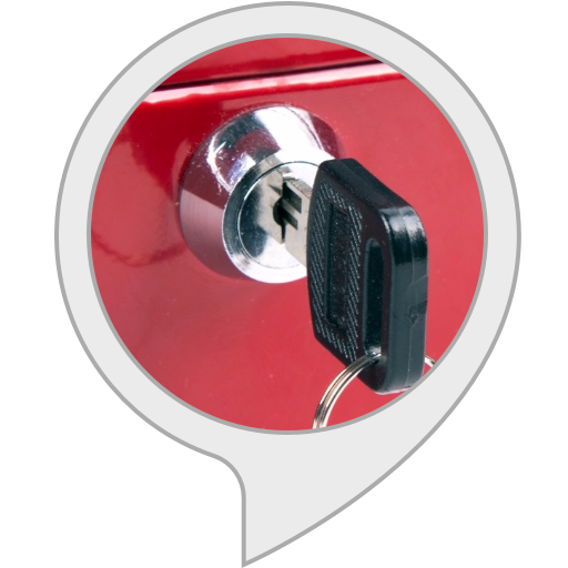 Memory Box Alexa Skills