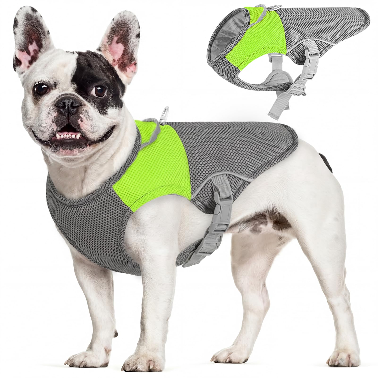 AOFITEE Dog Cooling Vest, Lightweight Cooling Jacket for Dogs, Breathable Dog Cooler Shirt with Harness D-Ring, Pet Summer Vest Hot Weather for Small Medium and Large Dogs, Green M