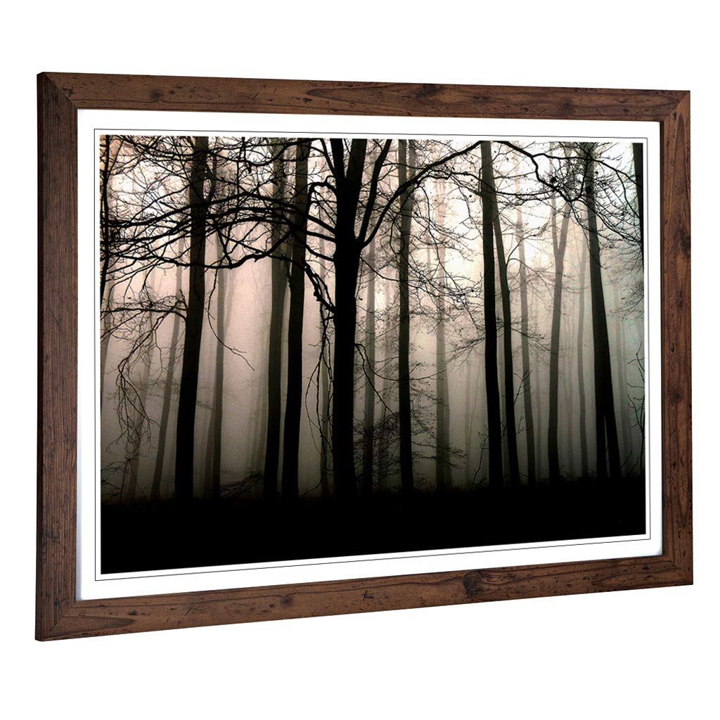 Big Box Art Framed Print of Landscape Sunlight Through Forest Woodland (2) Design | Wall Art Picture| Home Decor for Kitchen, Living Room, Bedroom, Hallway, Walnut, A2 / 24.5x18 Inch / 62x45cm