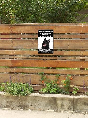 Miniatura 7 de Póster de hierro con texto en inglés This Home is Protected by The Good Loard Schipperke Dog & A Gun (This Home is Protected by The Good Loard