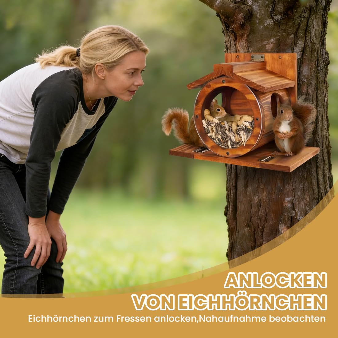 Eichhörnchen Futterhaus Wetterfes mit Runden Transparentes, Futterstationen für Eichhörnchen, 2 Eingänge & Sitzplattformen, Eichhörnchen Futterstation zum Aufhängen mit Belüftungslöchern