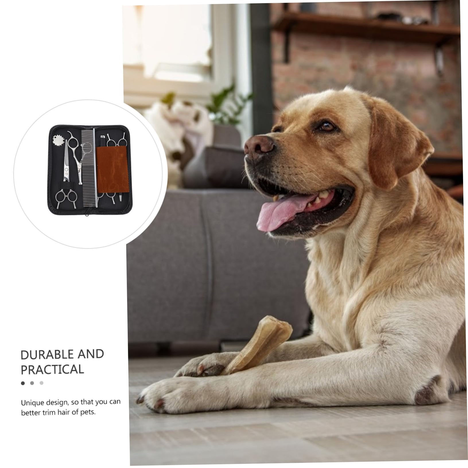 BESPORTBLE Ciseaux de Coupe pour Animaux Acier Inoxydable Ciseaux de Toilettage pour Chiens pour Pets