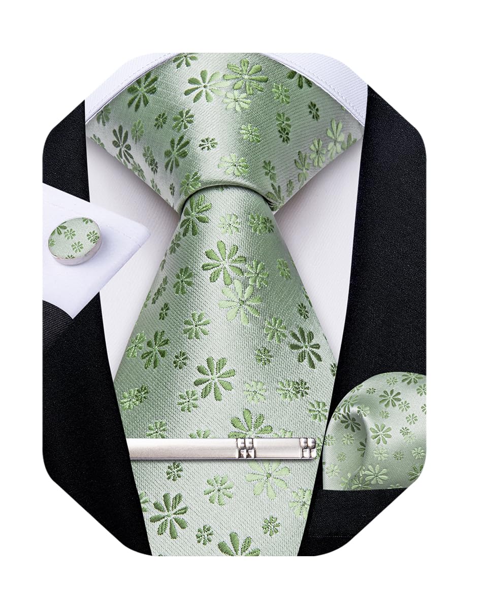 DiBanGu Silk Floral Ties for Men Woven Paisley Necktie