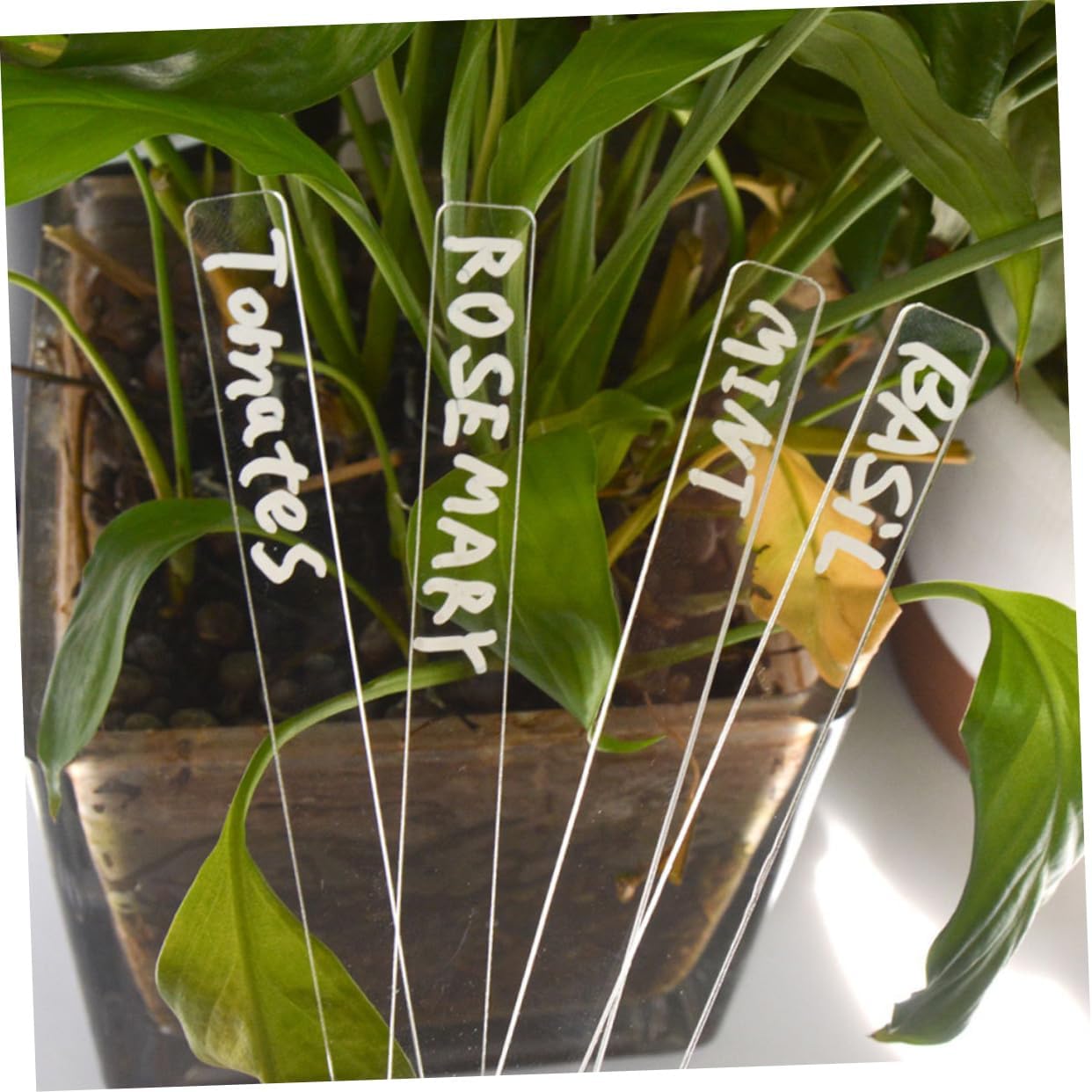 CANIGHT 72pcs Acrylic Plant Labels Durable Garden Markers for Flower Pots Succulents and Gardens Easy to Insert Lightweight and Portable for Home Gardening