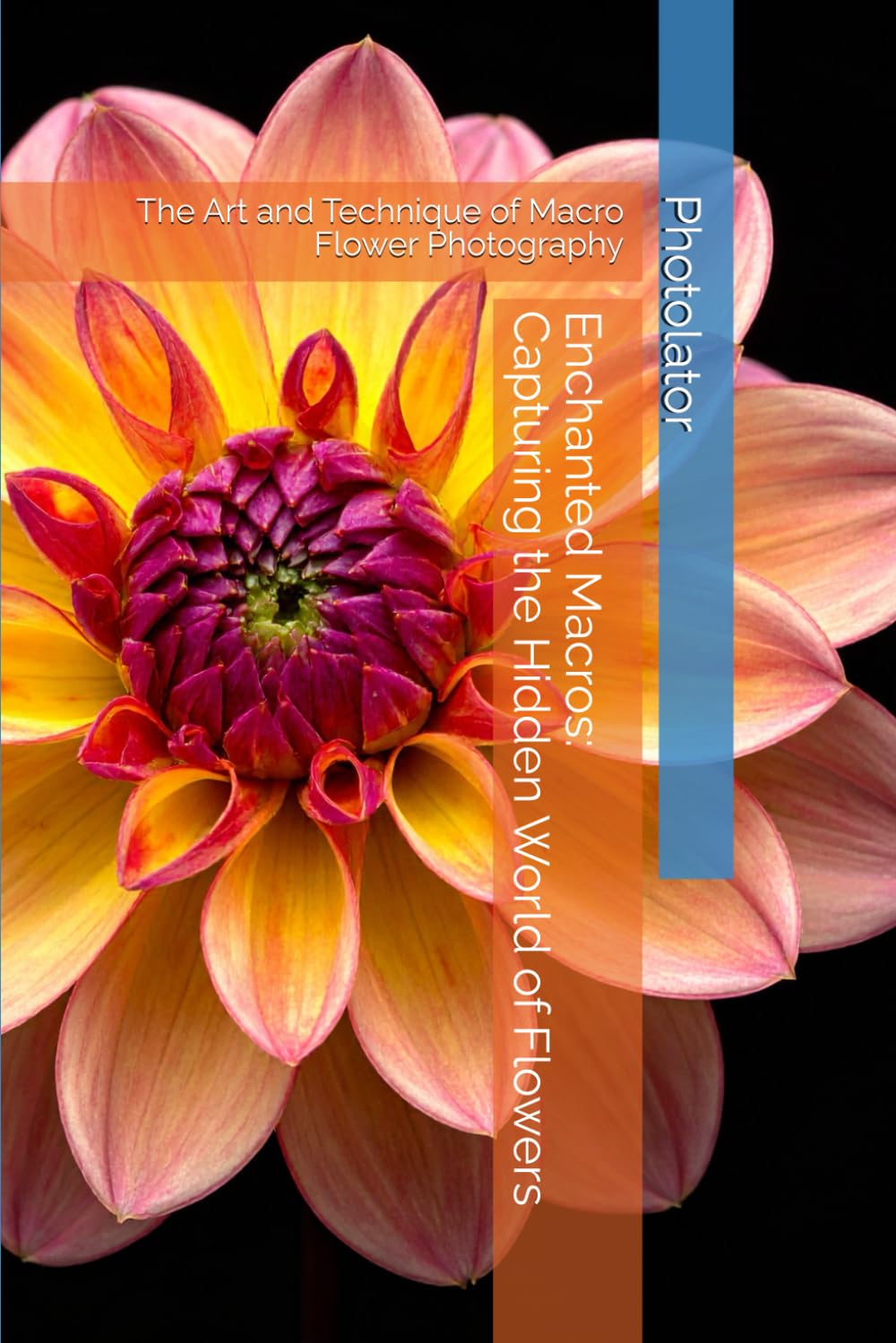Enchanted Macros: Capturing the Hidden World of Flowers: The Art and Technique of Macro Flower Photography (Photography Guide)
