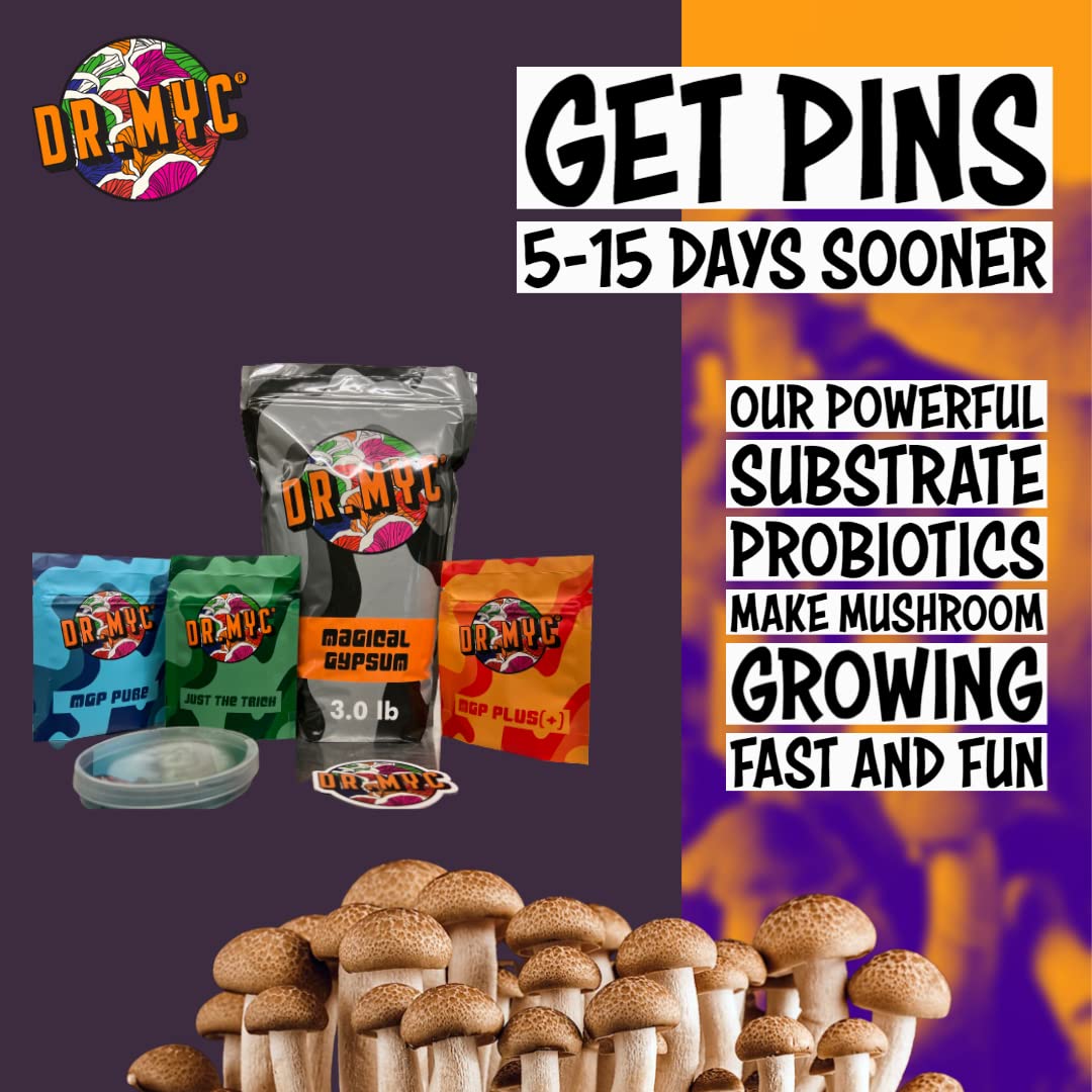DRMyc.com - MGP Pure - Growth Promoter for Mushrooms. Our Substrate Probiotic Increases Colonization Speed, Fruiting Size + Faster Flushes - (25 Grams)