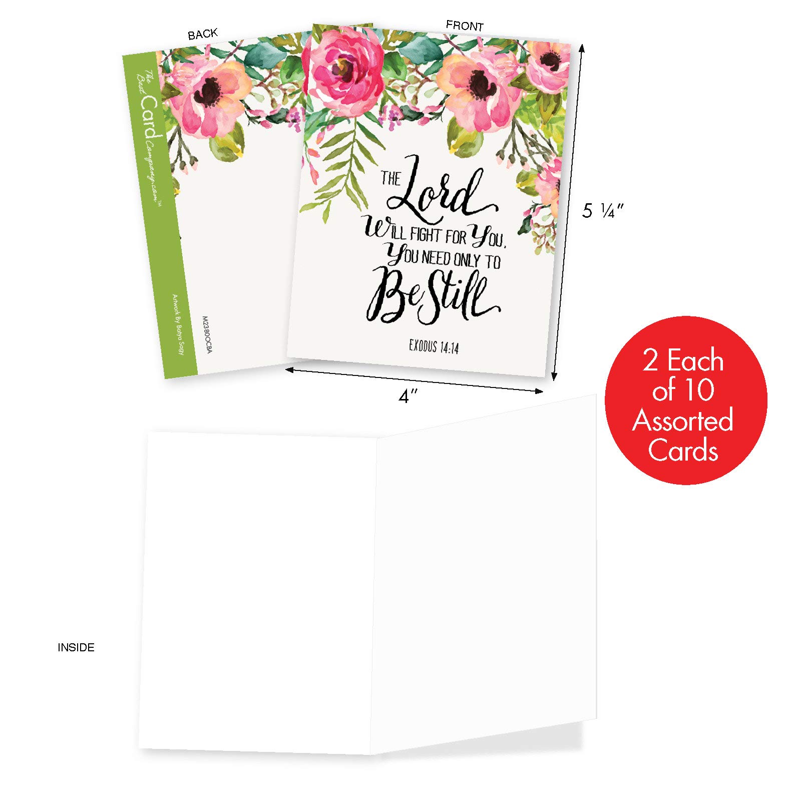 Amazon.com : The Best Card Company - 20 All Occasion Note Cards (4 x 5.12  Inch) - Blank Boxed Set (10 Designs, 2 Each) - Holy Sentiments  AM2380OCB-B2x10 : Office Products
