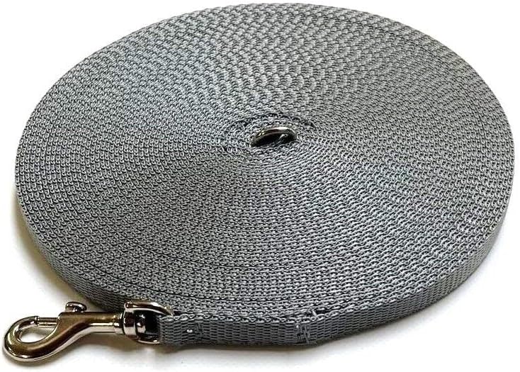 Puppy Training Lead Small Dog Recall Obedience Training Leash 10ft (3m