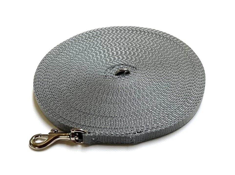 Dog Training Lead Small Dog Puppy Leash 100ft 30m Tracking Recall Obedience Strong 13mm Webbing (Silver/Grey) โ image 1