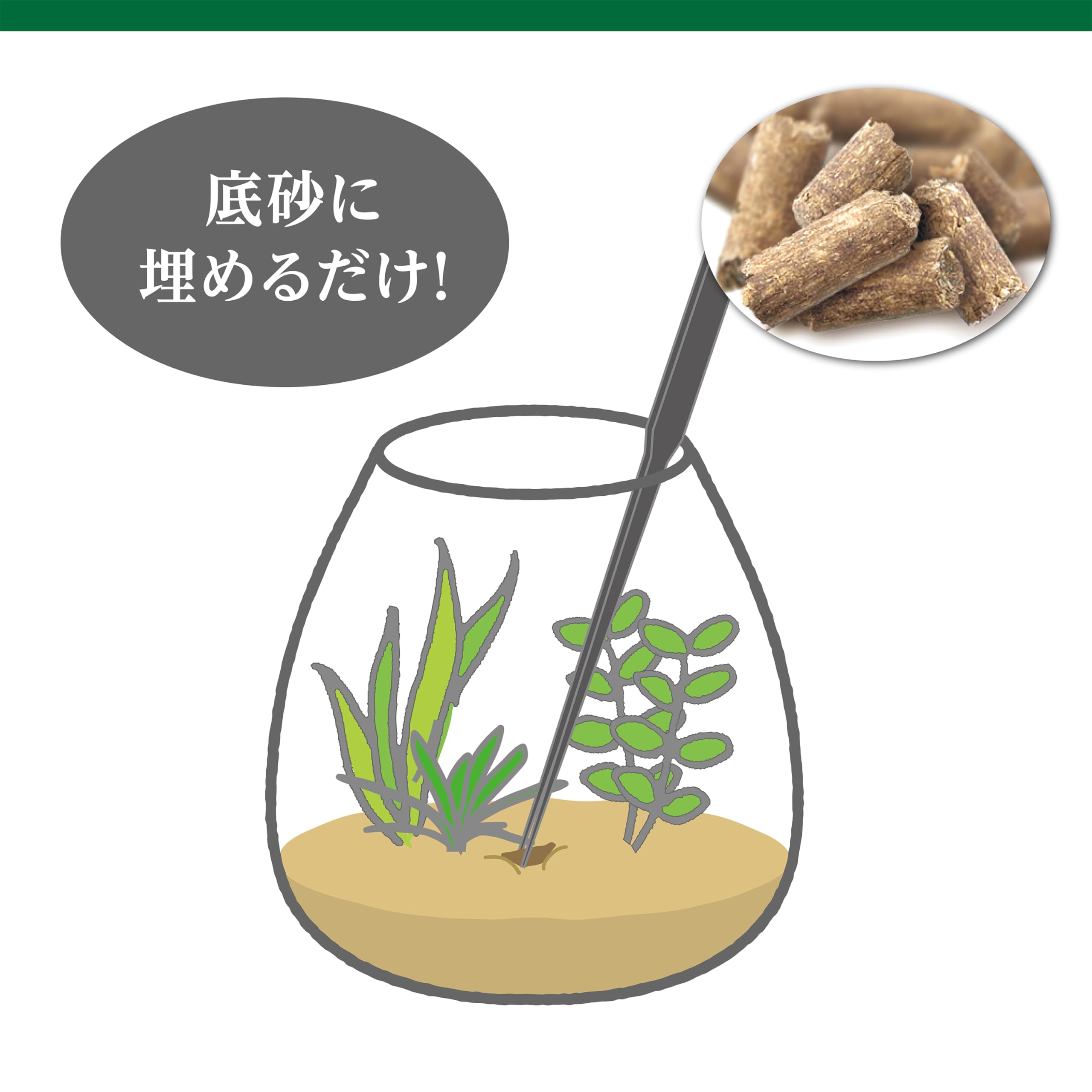 ［確認用］水生植物　苗 Amazon.co.jp: GEX MeGreen 水草を育てる底砂栄養ペレット コケ