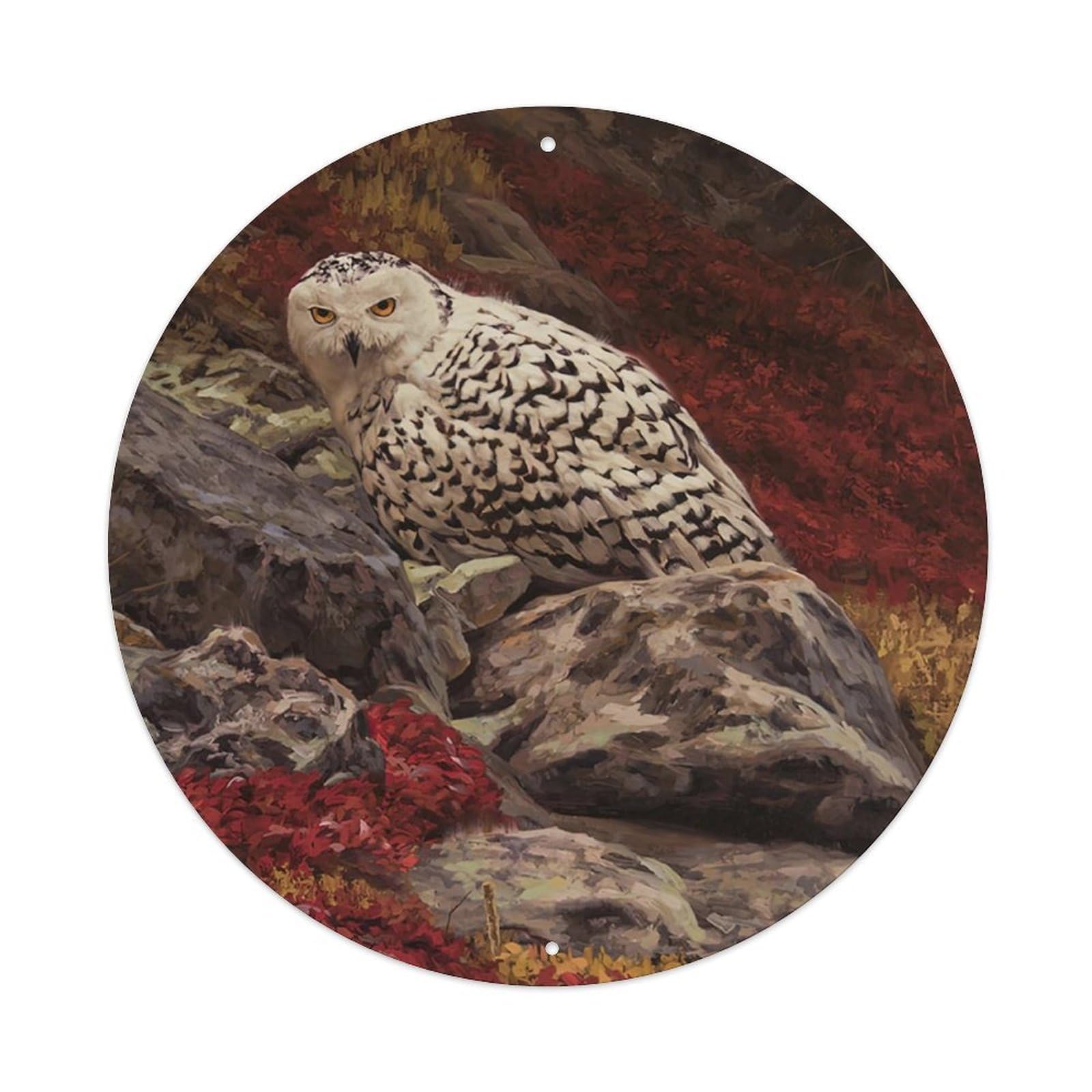 Animal Snowy Owls in The Mountains Metal Tin Sign