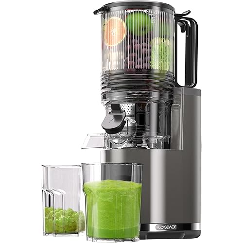 J8 Cold Press Juicer, 6.5" Extra Wide Feed Chute Juicer Machines, 350W Slow Juicer Machines with High Juice Yield for Whole Vegetables & Fruits, BPA Free (Titanium Gray)