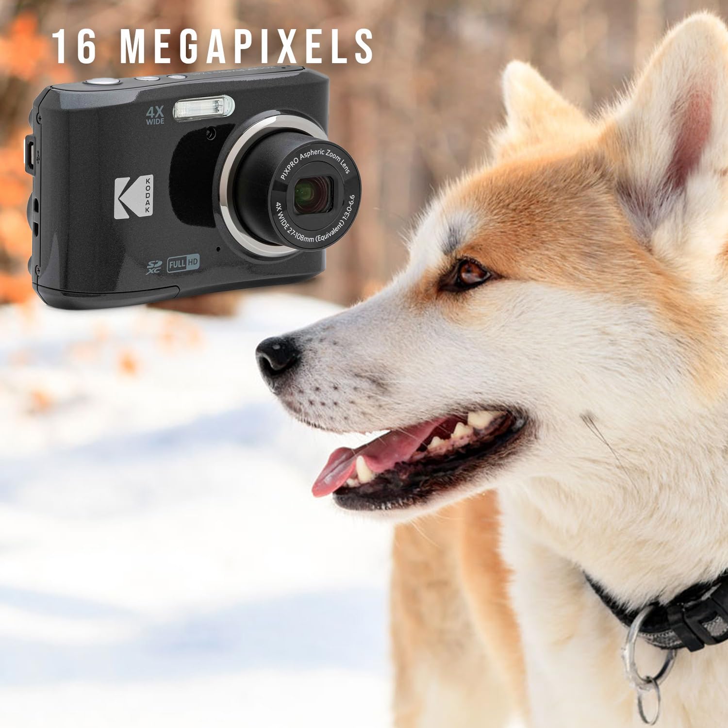 Amazon.com : Kodak PIXPRO FZ45 Digital Camera (Black) Bundle with
