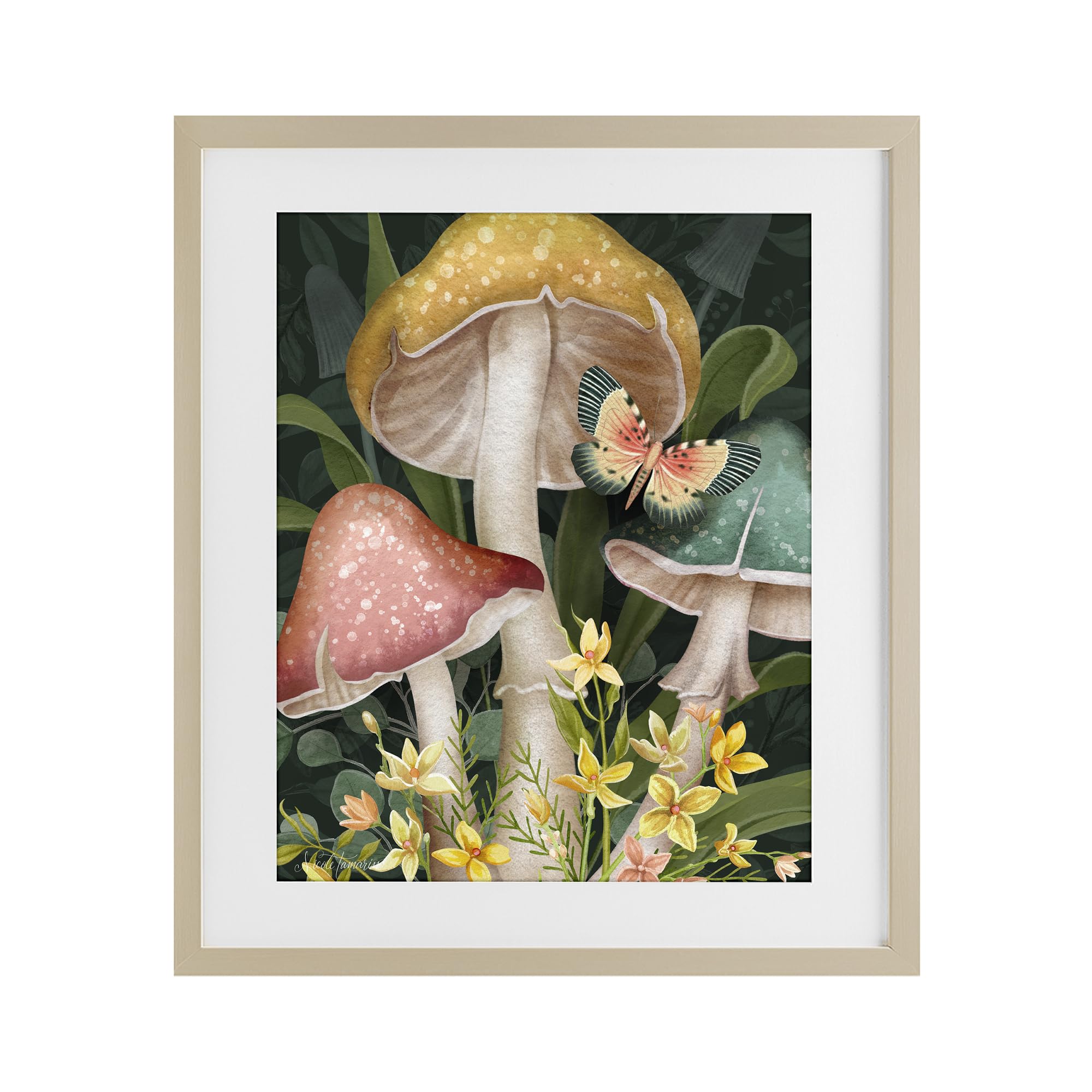 Stupell Industries 'Midnight Garden Mushrooms', Framed Print Under Glass, Brown, 13 x 16 Inches, Easy to Hang and Sturdy, Made in USA, by Nicole Tamarin