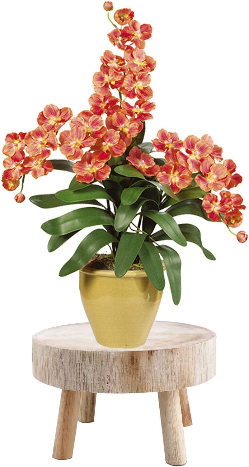 UNIE Mini Wooden Stool Round Garden Flower Display Stand Decorative Short Stool for Indoor Outdoor Office Dining Room : Patio, Lawn & Garden