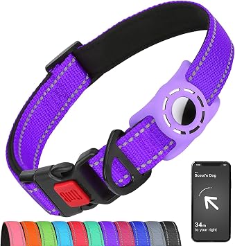 Reflective Dog Collar for Medium Dogs with Silicone Tag Holder