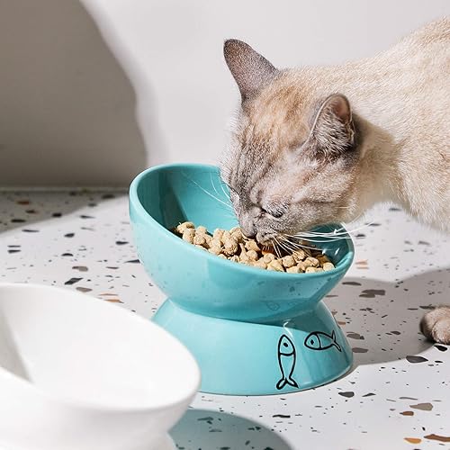 Miniatura 12 de Sweejar Cuencos elevados de cerámica para gatos, platos inclinados para alimentos o agua, cuenco elevado de porcelana para mascotas, protege