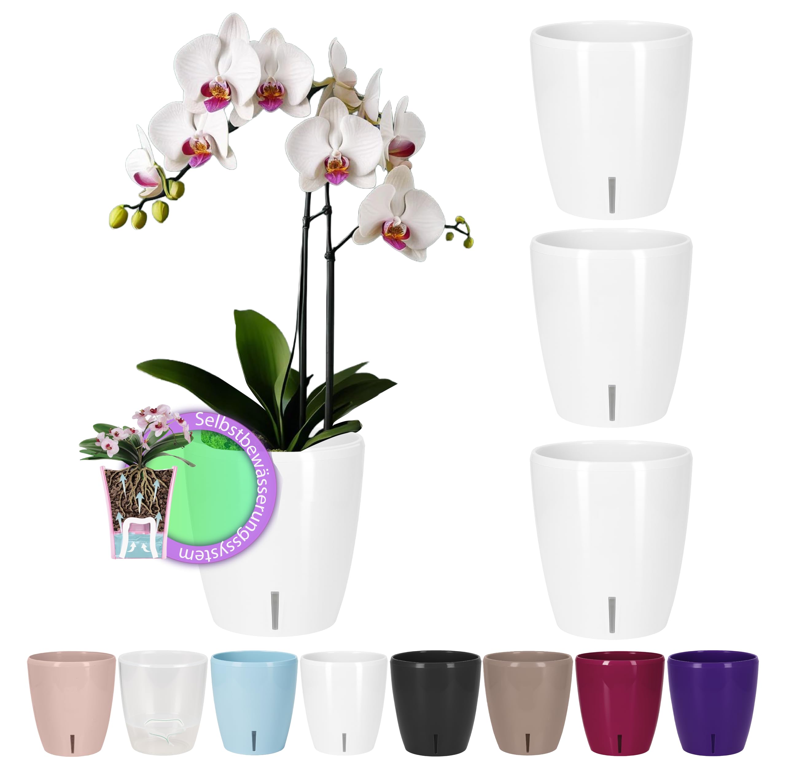 Santino Set di 4 Vasi Auto-irriganti con Sistema a Fiocco e Indicatore del Livello dell'Acqua per Uso Interno, Vaso per Orchidee Diametro 16,5 cm (Bianco - 3,3 L)