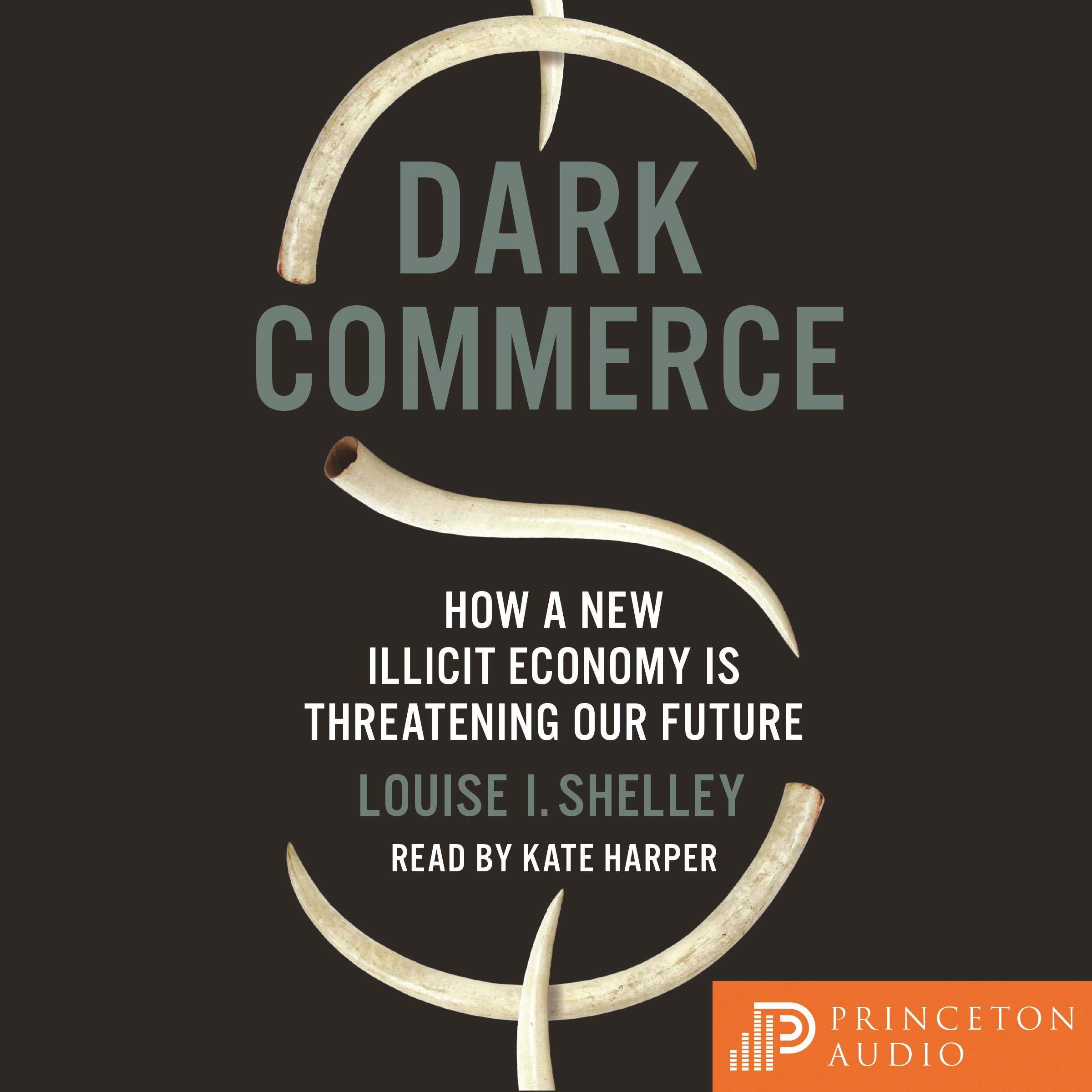 Cover art for Dark Commerce