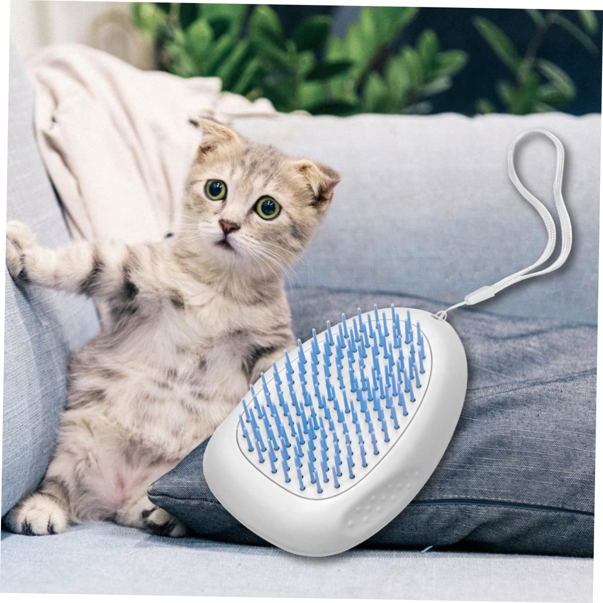 BESPORTBLE 3piezas Cepillo Quitapelos Para Peine Para y Gatos Con Diseño Ergonómico y Lanyard Remueve Pelo y Para Mantener Mascota Limpia Azul