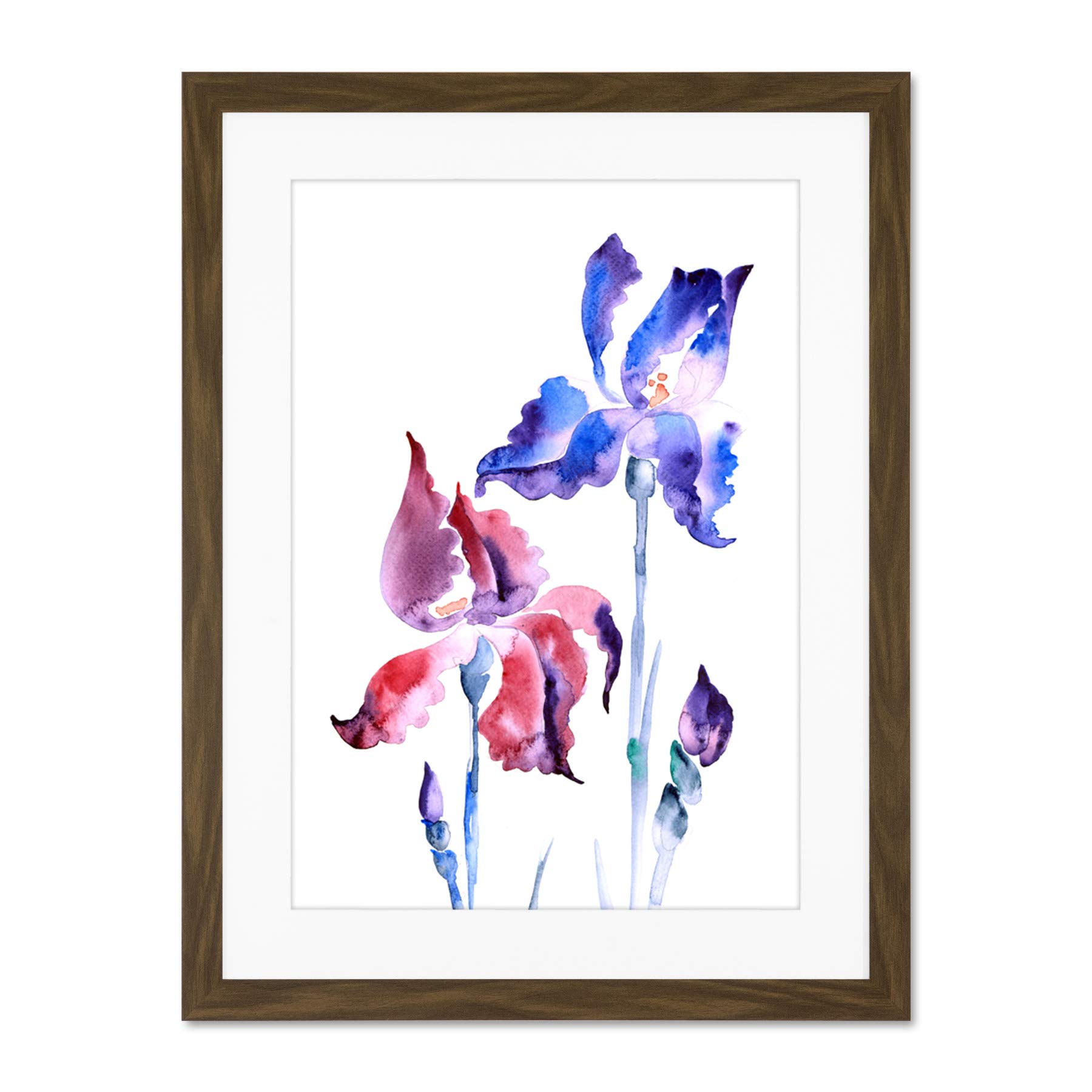 Wee Blue Coo Flowers Violet Iris Large Framed Art Print Wall Poster 18x24 inch