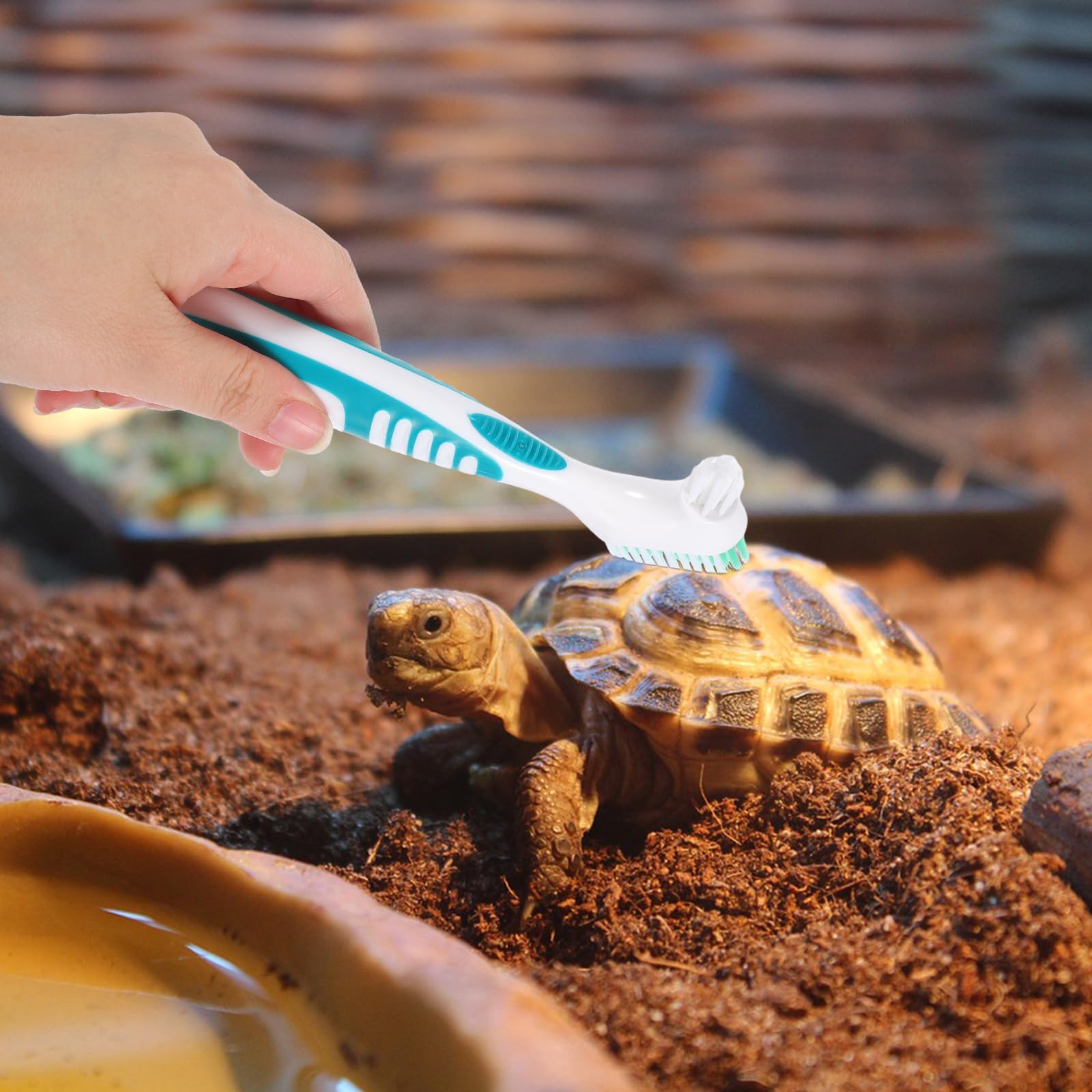 BESPORTBLE Turtle Shell Cleaning Brush - Image 4