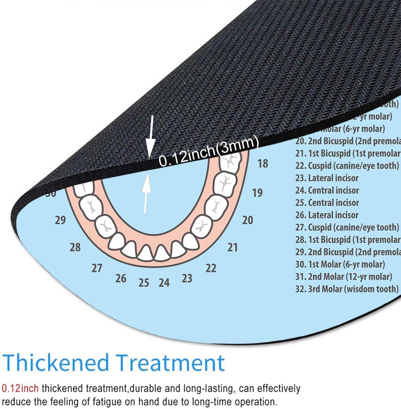 Round Mouse Pad,Tooth Chart Mouse pad,Custom Small Mouse Pads with Designs,Portable Office Non-Slip Rubber Base Wireless Mouse Pad for Laptop 7.9×7.9×0.12 inches image 4