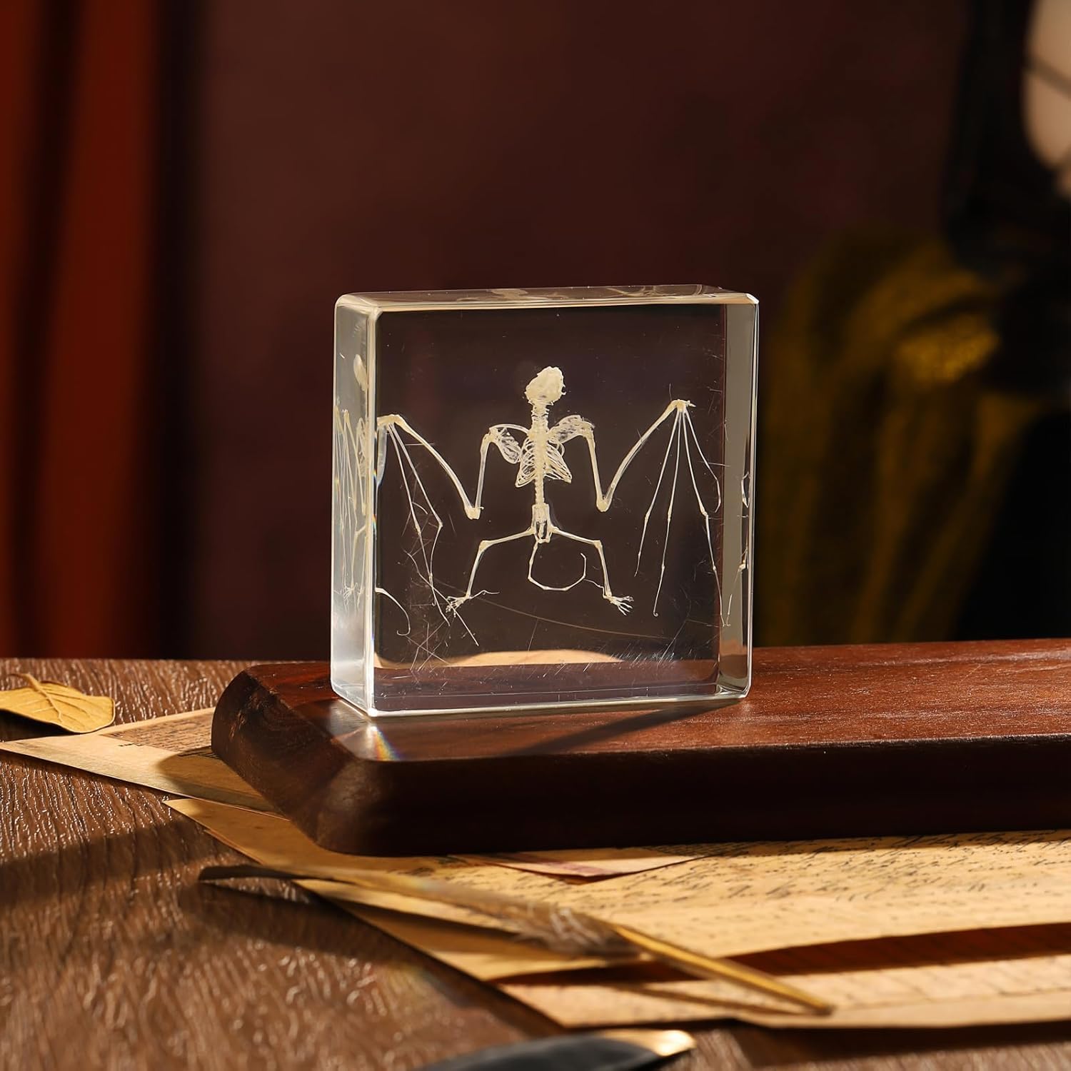 Authentic Skeleton Specimen in Acrylic Block - Educational Display for Science Classrooms, Curio Collection,and Unique Gift Idea (bat Skeleton)