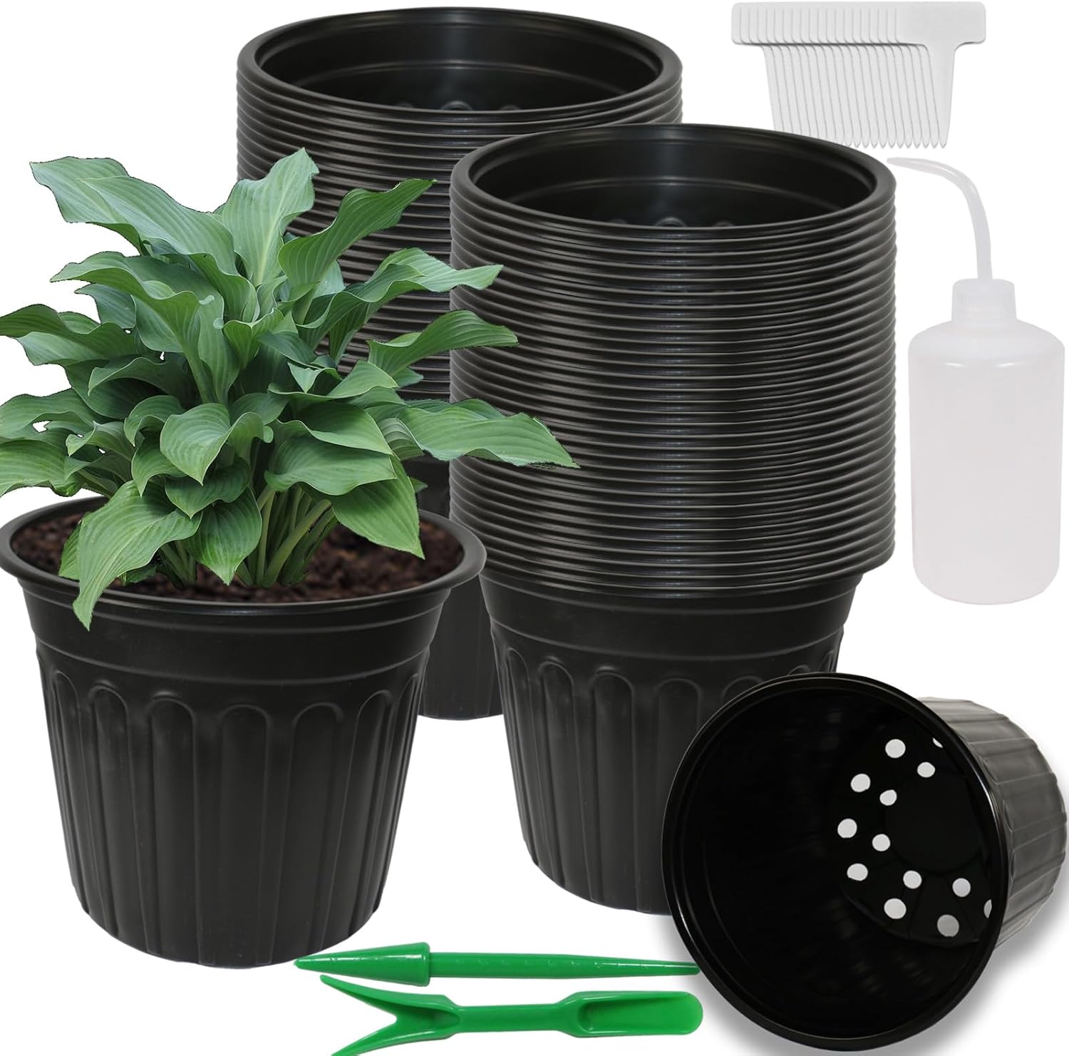Amazon.com: Niiiice 50-Pack 2.5 Gallon Flexible Plastic Plant Pots ...