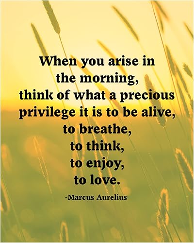Marcus Aurelius Quotes- When You Arise- Inspirational Wall Art Print, This Motivational Philosophical Wall Decor Print Makes Ideal Wall Art Decor
