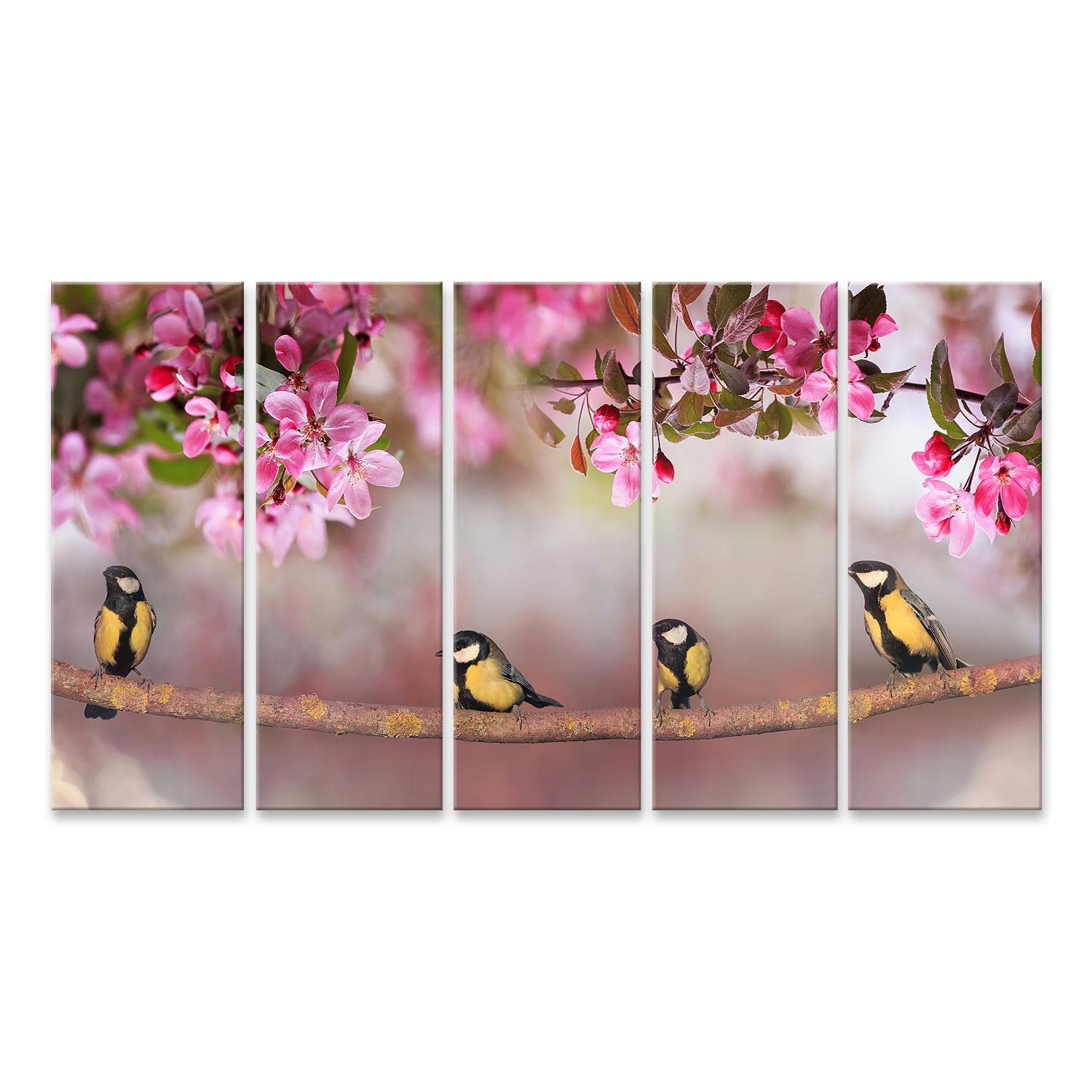 islandburner Quadro su tela Chickadee Tit Uccelli seduti primavera giardino soleggiato rami alberi di mele r BNOE Quadri Stampe Immagini Murale Decorazione da parete