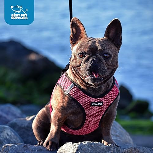 Miniatura 10 de Best Pet Supplies - Arnés Voyager Step-in Air hecho de malla apta para todos los climas arnés tipo chaleco para colocar por las patas para perros