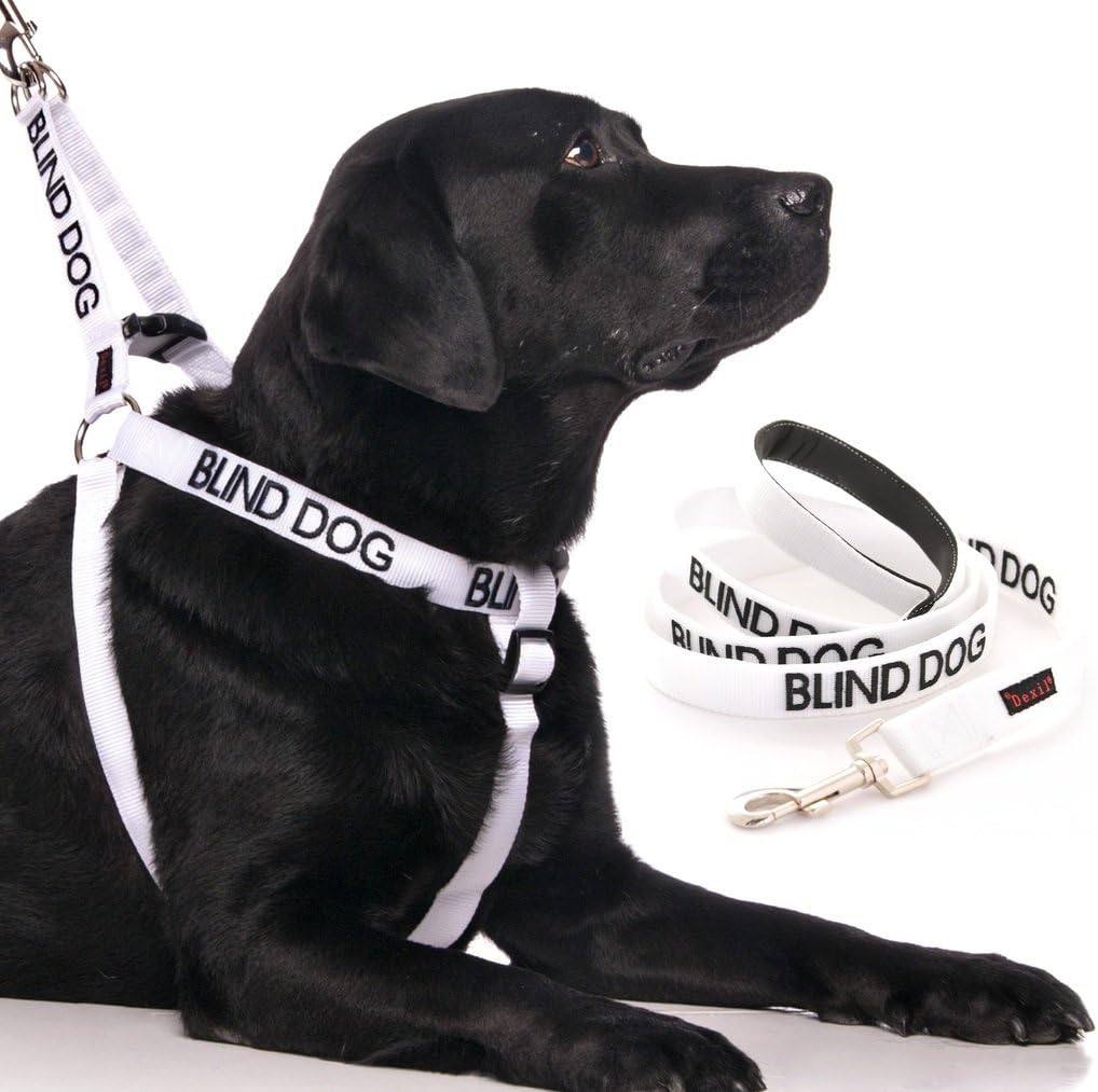 BLIND DOG (Dog Has Limited/No Sight) White Colour Coded Non-Pull Dog Harness and 60cm 1.2m 1.8m Luxury Neoprene Padded Handle Lead Sets PREVENTS Accidents By Warning Others Of Your Dog In Advance (Harness & 1.8m)