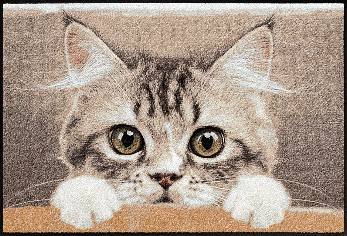 Salonloewe Fußmatte & Eingangsmatte Nosy Cat in beige & Größe 0,50 x 0,75 cm - Fußabtreter & Schmutzfangmatte mit Katzen-Design für den Eingangsbereich