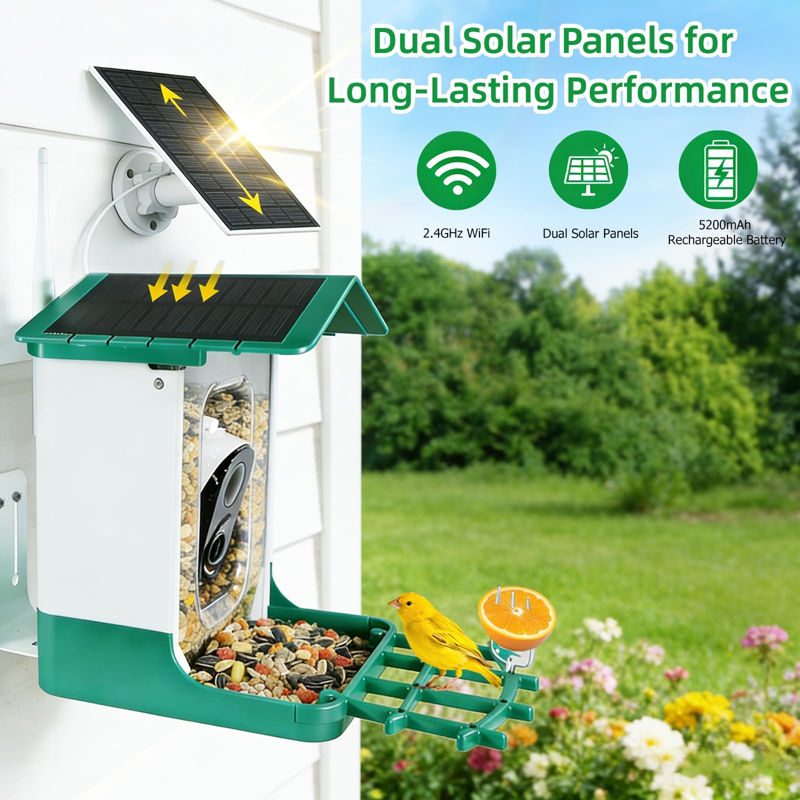Bird Feeder with Camera, Squirrel Proof Bird Feeder Dual Solar Powered for Outdoors, AI Identify 11,000+ Birds, Real-Time Motion Detection,UHD Live Stream for Birdwatching-Gifts for Bird Lovers - 2