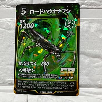 蟲神器 ヒメオオクワガタ ヒメオオクワガタ ペア♂36㎜⑫ | クワガタTOP GUN