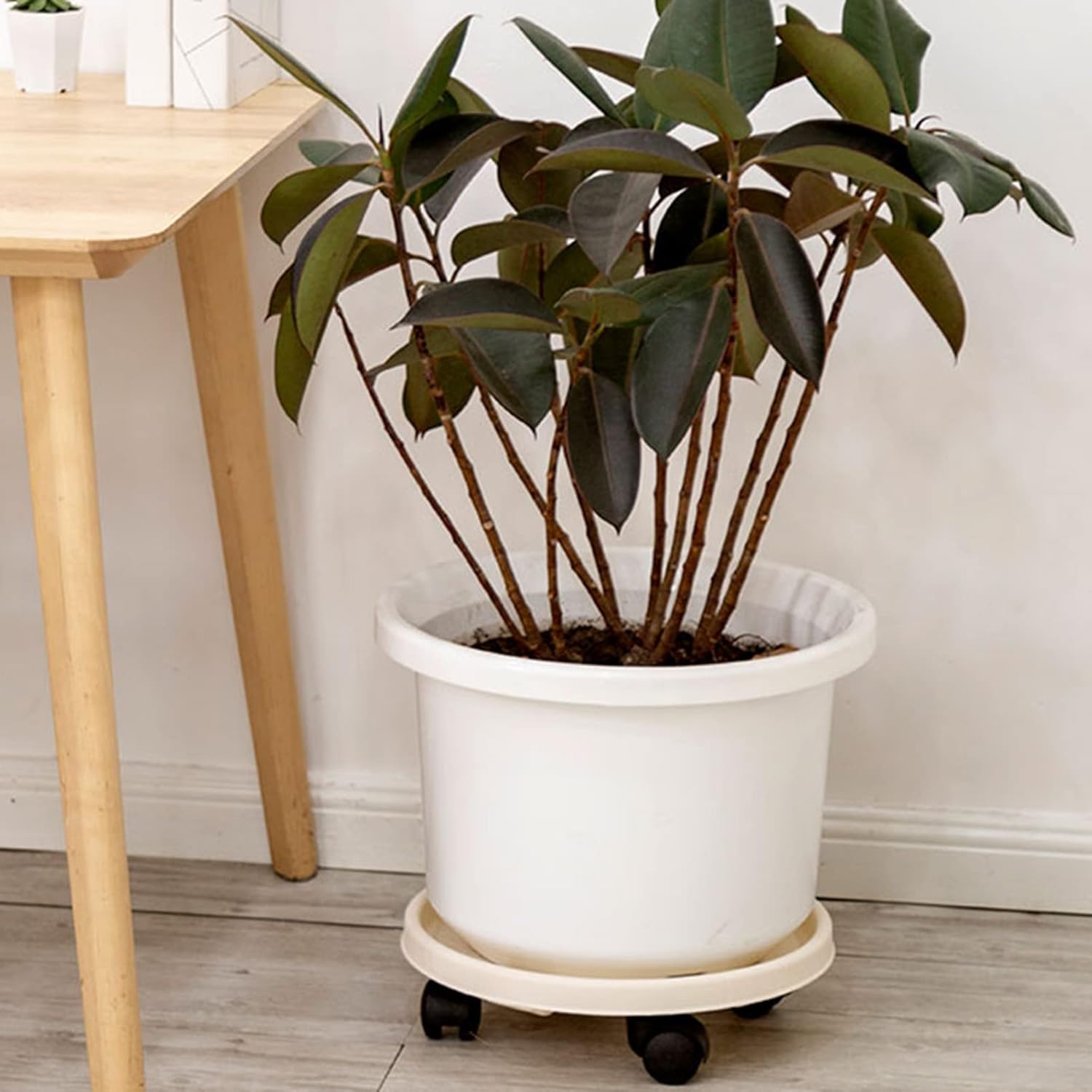 Plant Caddy with 4 Lockable Wheels Diameter 29cm, Plant Dolly with Wheels, Plant Stand Wheels, Heavy Duty Rolling Plant Dolly, Indoor, Outdoor Round Flower Pot Mover