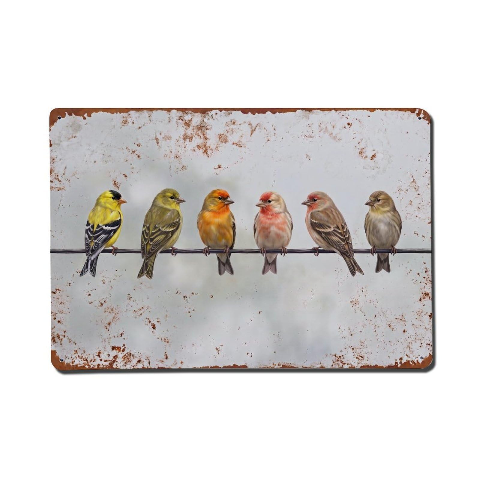 Vintage Retro Birds Goldfinch Metal Tin Sign
