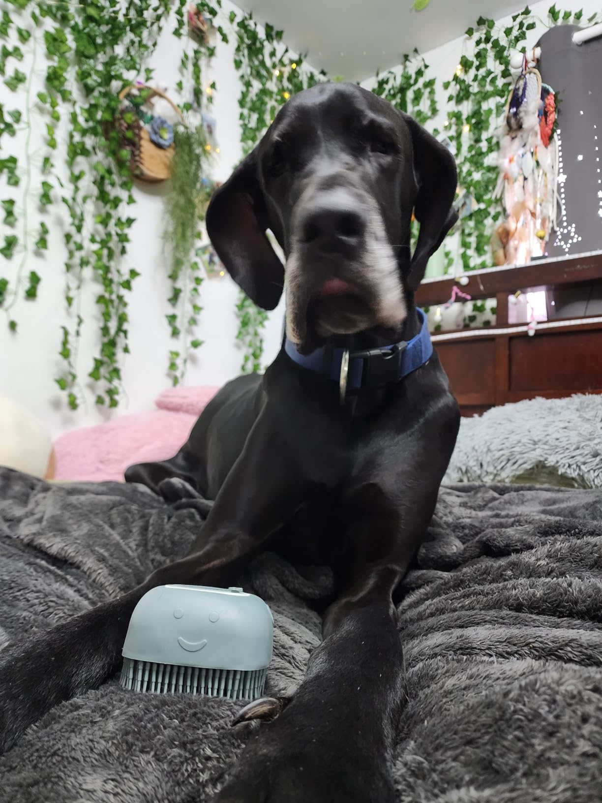 Pupp Stuff Bath Brush in Orange, Ideal Dog Washing Brush, Dog Scrubber for Bath Time