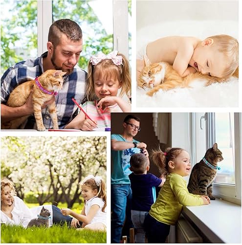 Miniatura 6 de Collar personalizado para gato, collar de identificación de gato, bordado con nombre de mascota, collares de seguridad para teléfono con campana