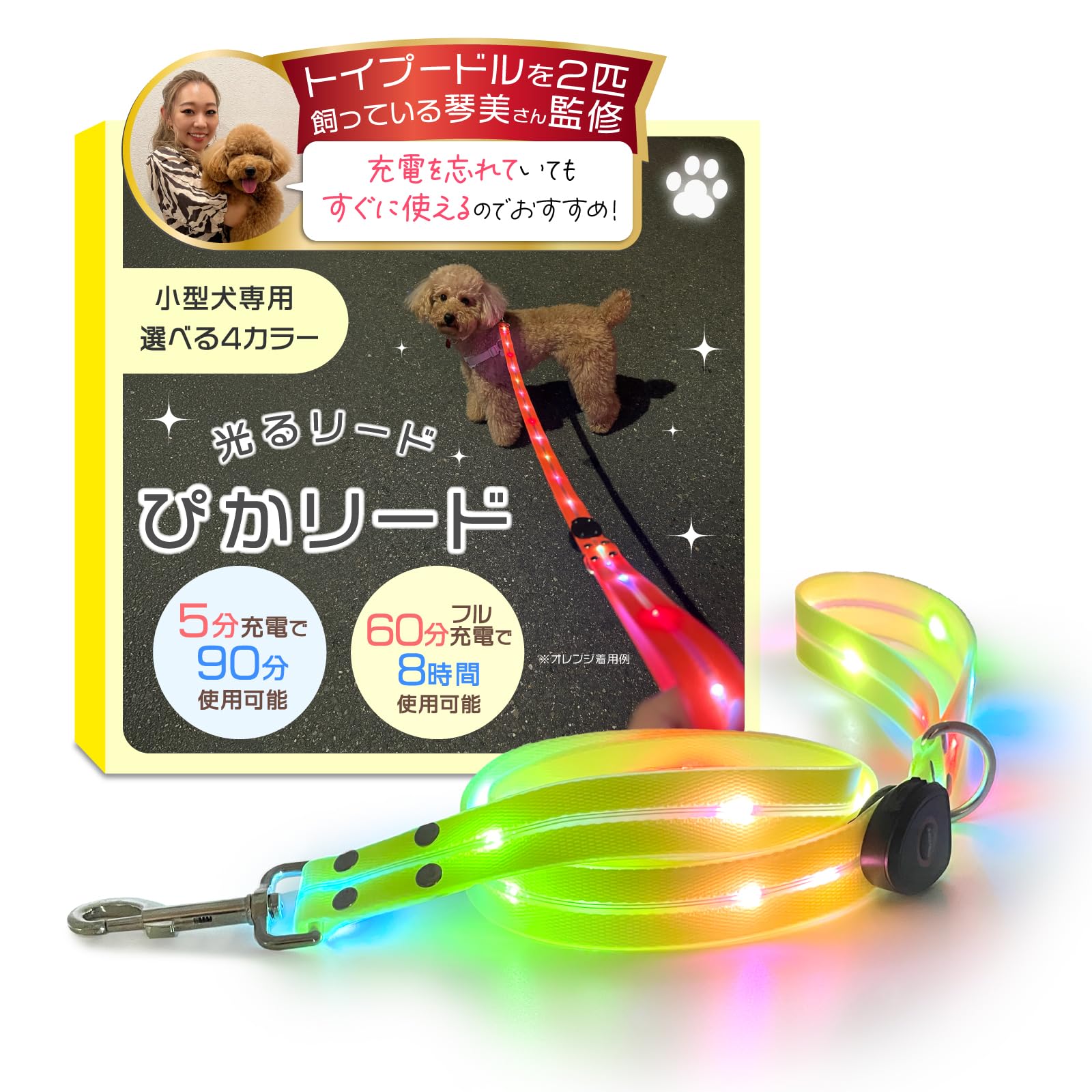 Amazon | 【トイプー2匹の愛犬家監修】 光るリード 『5分充電で90分