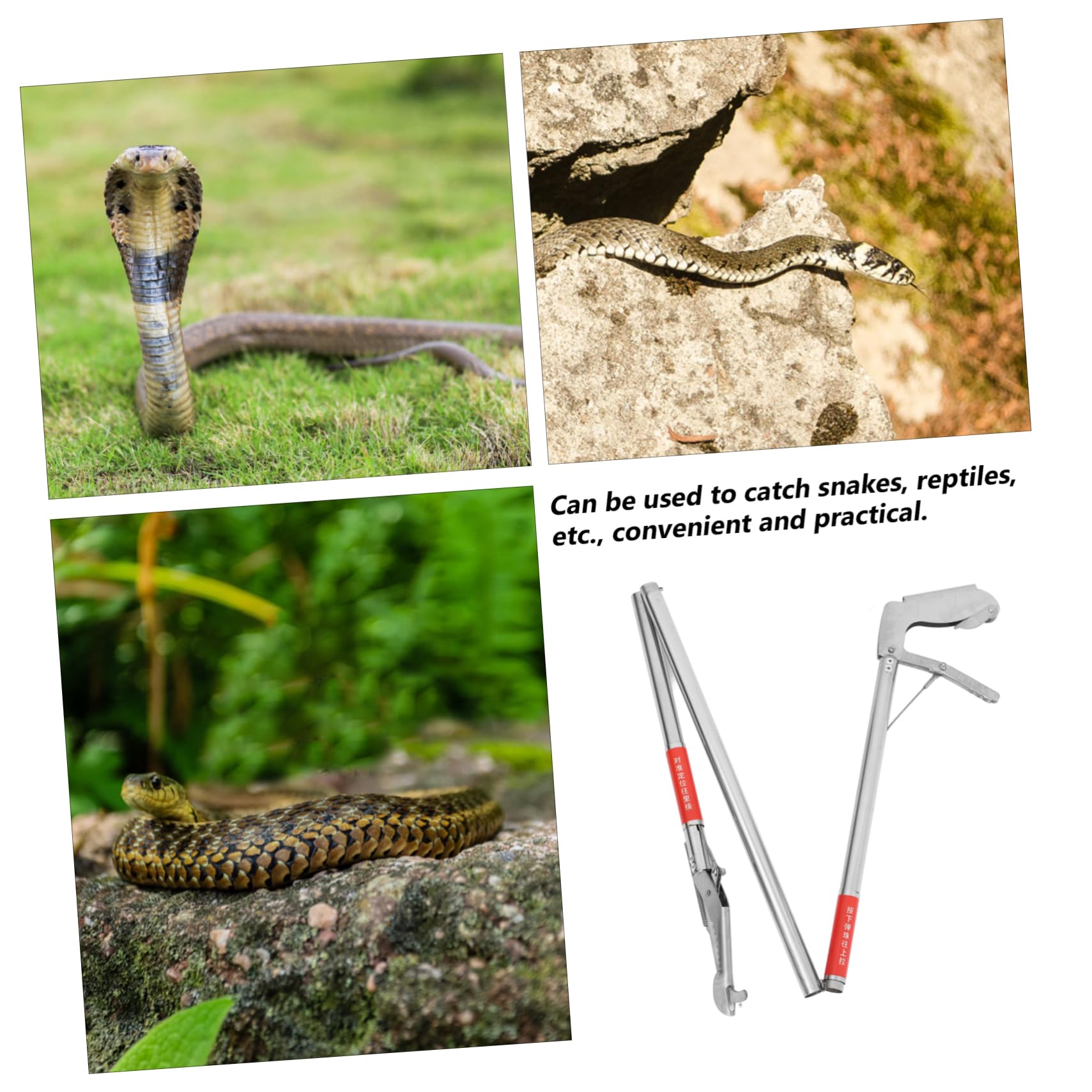 BESPORTBLE 4stücke Faltbare Schlangenzange Aus Edelstahl Langer Reptiliengreifer Mit Rutschfestem Griff Für Outdoor-Einsatz Sichere Handhabung Von Schlangen Und Anderen Reptilien