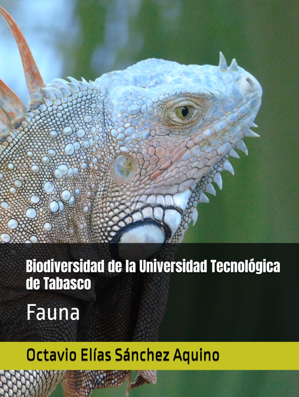 Biodiversidad de la Universidad Tecnológica de Tabasco: Fauna