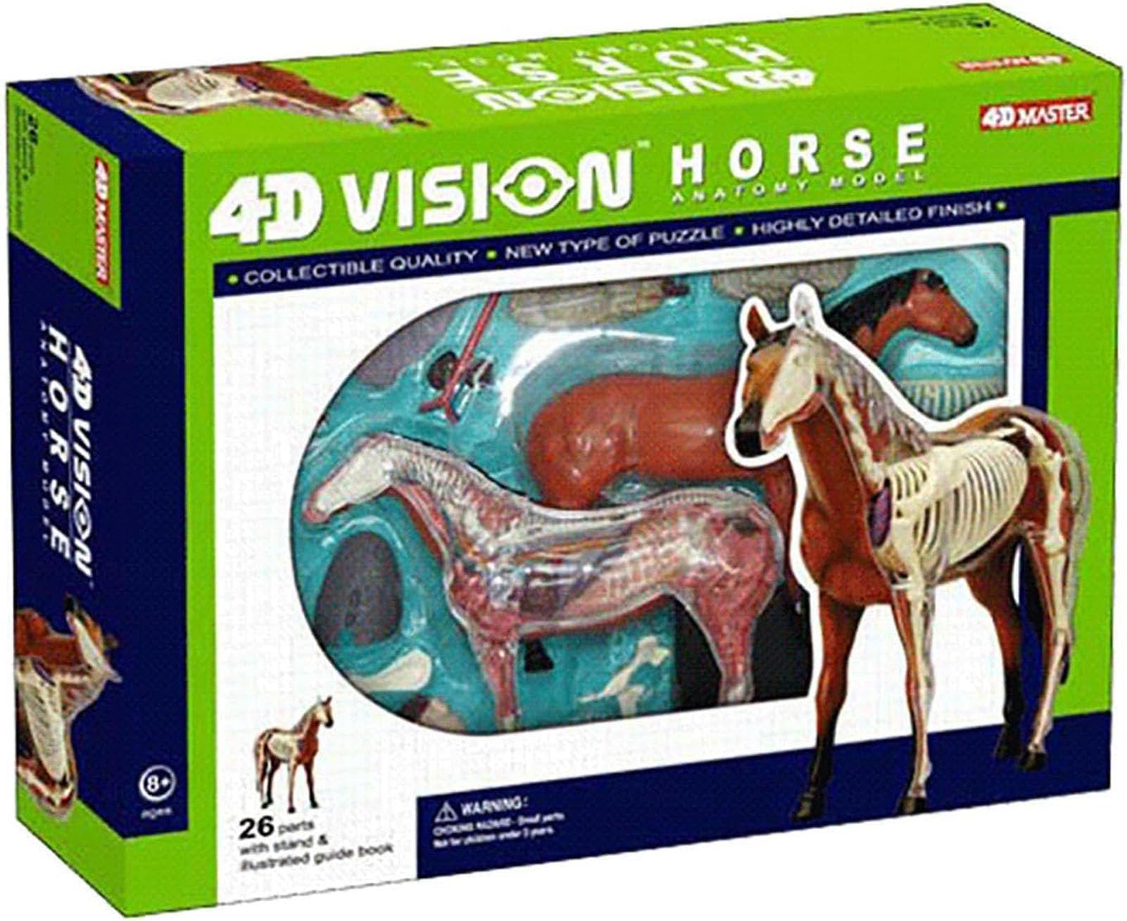 Generisch 4D Pferd Anatomie Modell - Tier Skelett Probe, abnehmbare Biologie, 26 Teile für Pet Clinic Tierarzt AusbildungSchule Lehre