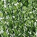 Plantas Hiedra Artificial (24pcsx2m) Hiedra Hojas de Vid Artificial Enredadera Guirnalda Decorativa...