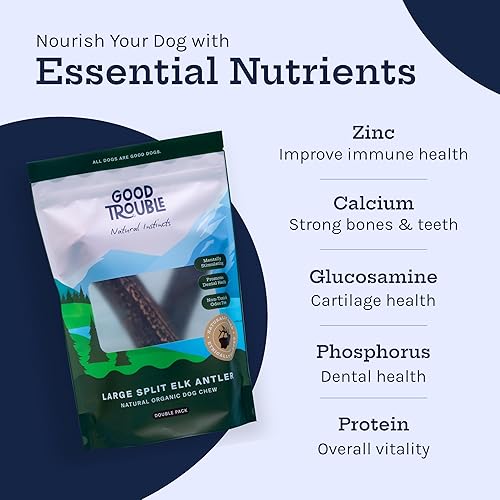 Miniatura 5 de Good Trouble Pets Premium Wild Elk Astas masticables para perros (paquete de 2)  Huesos duraderos para perros masticadores agresivos, masticables de
